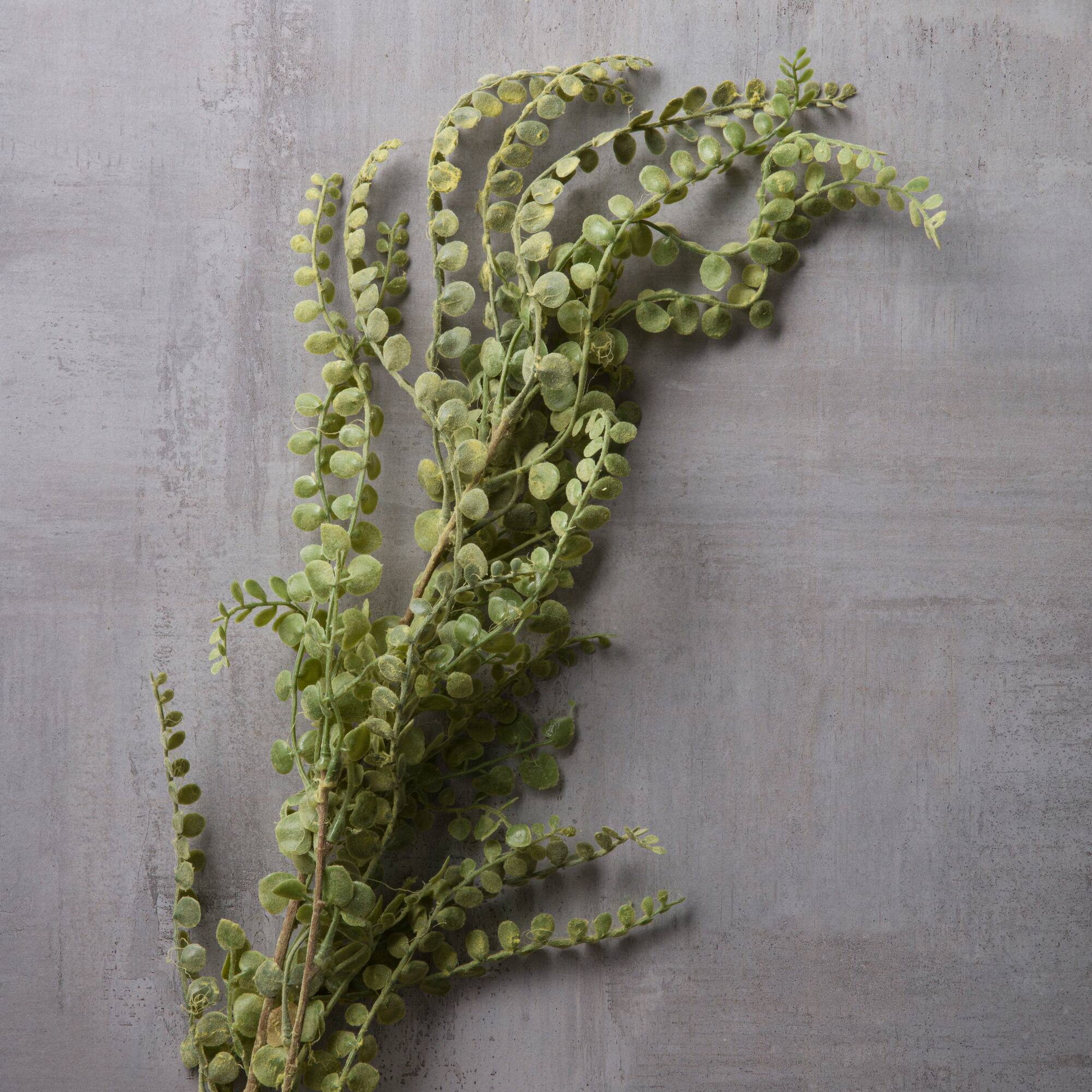 Weeping Fern Stem by Ashland®